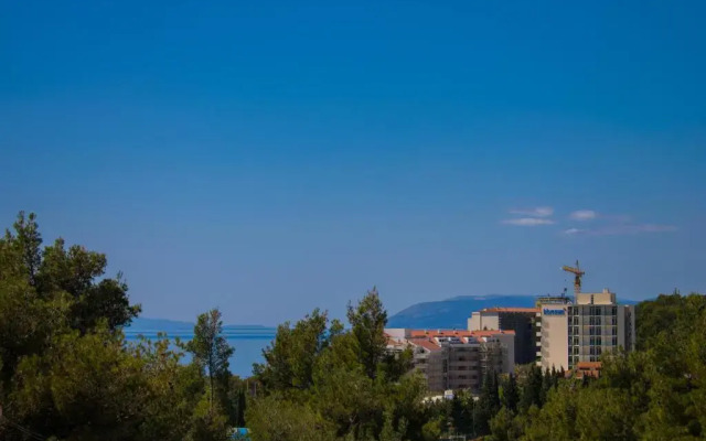 Apartment Šarić