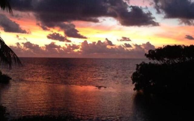 coconut grove