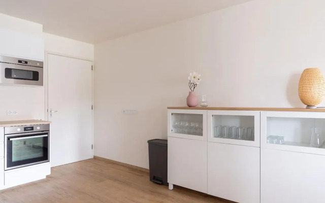 Lovely Apartment on Ameland Near Nes