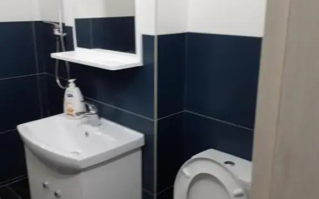 Apartament confortabil în Bucovina