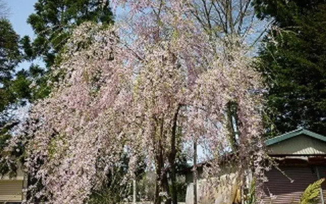 Stayful House Nakamachi