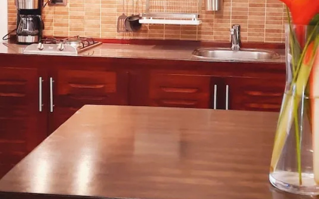 Oasi