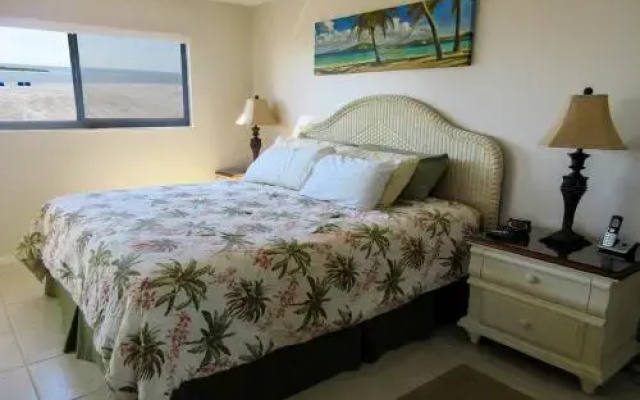 Carlos Pointe #211 Apartment
