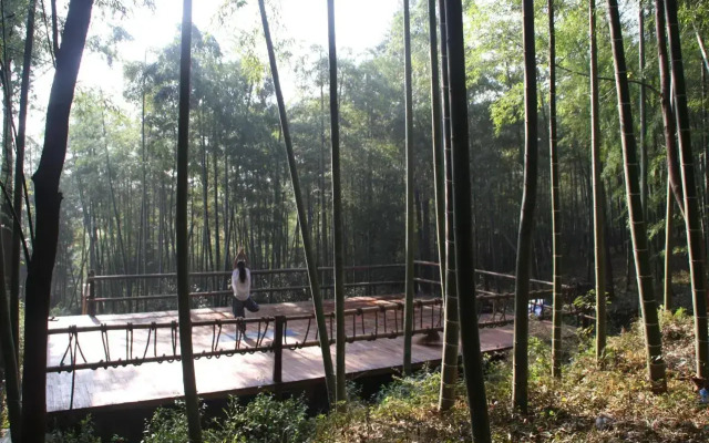 Om Yoga Resort