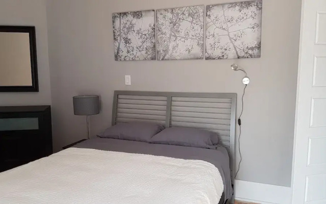 Le St Denis 1 bedroom - mtlFlats