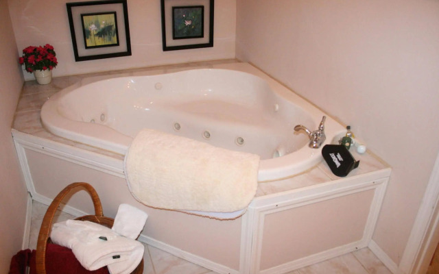 Forget-me-not Bed and Breakfast