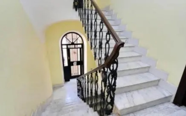 Shine house