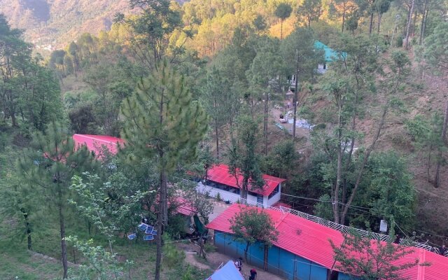 Pine Trails Jungle Camp