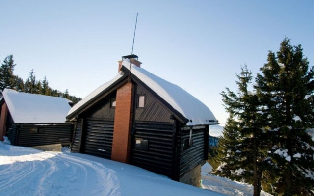 Chalet Snowflake IV 20m From Ski Trail