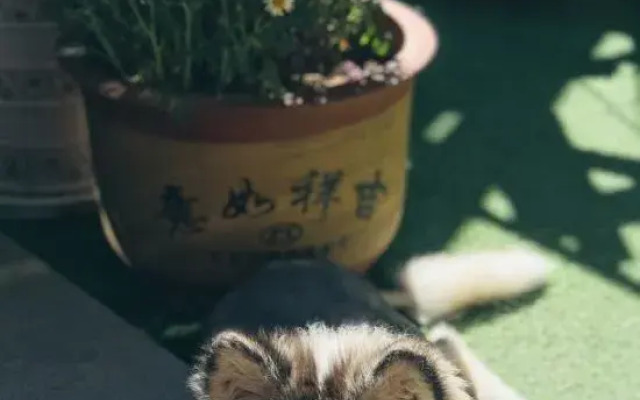 Yulin Lanshan Inn