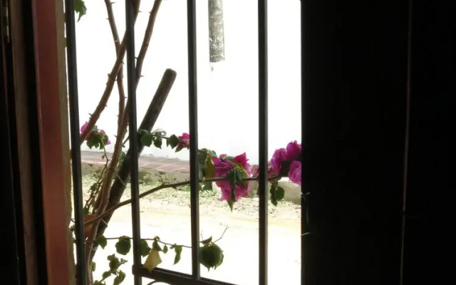 Hostel la Casa del Viajero Mompox