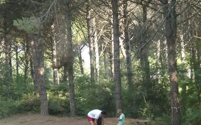 Villetta Raffaello 217