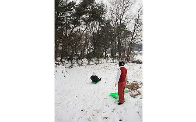 Ganghwa Pine Flower Pension
