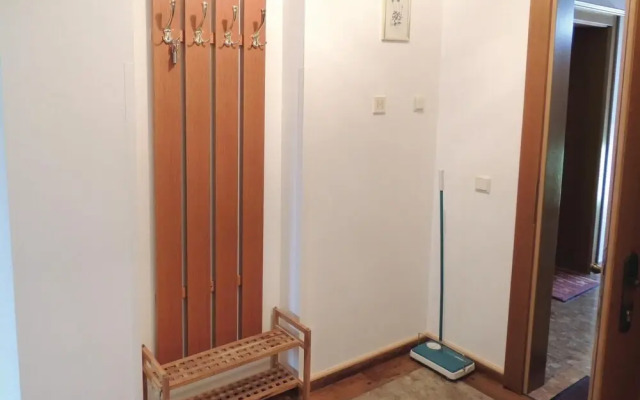 Stunning Apartment in Flachau With 2 Bedrooms and Wifi