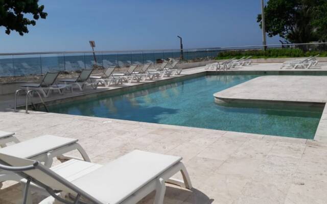 Building Palmetto Sunset 1503