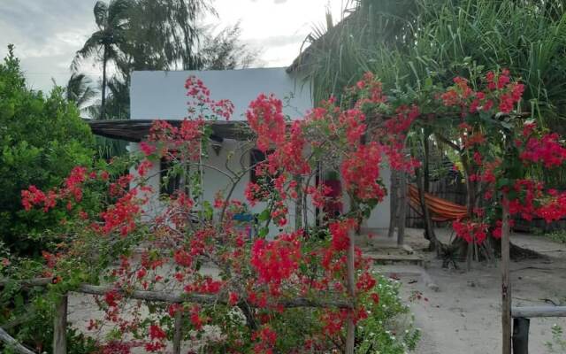 Barefoot Zanzibar