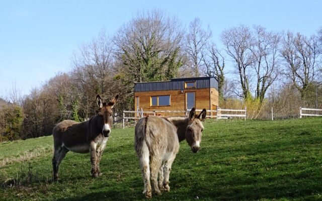 La Tete dans les Étoiles