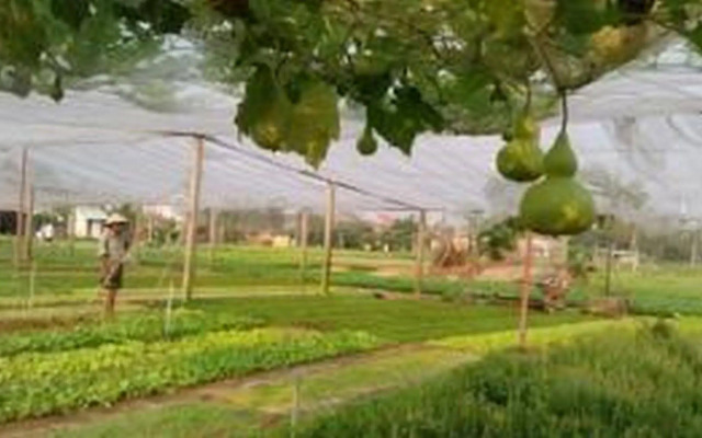 Pomelo Garden Boutique Villa