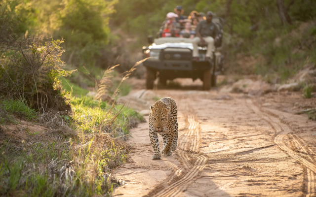 Kapama River Lodge