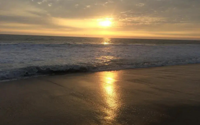 Surfari Punta Rocas