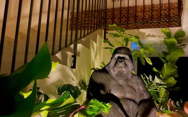 Trip Monkey del Río