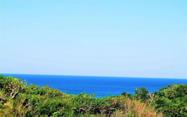 Cocoro Malolo