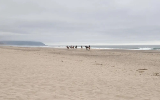 Seas The Day Pacific City