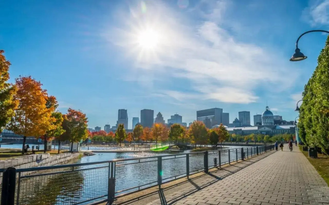 M11 The Star Wars Suite 3BR Downtown