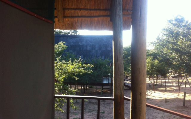 Lion Roars Lodge