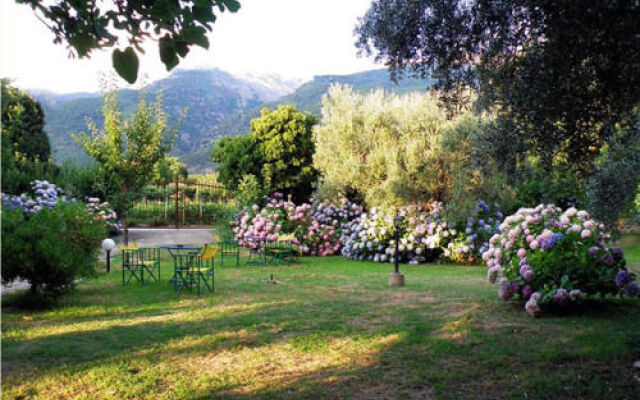 Alekas Studios