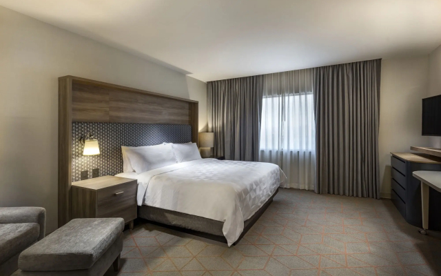 Holiday Inn & Suites Aguascalientes by IHG