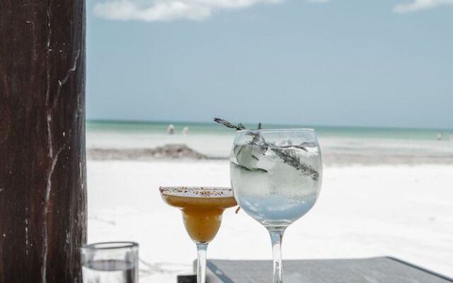 Blue Holbox Beach Front