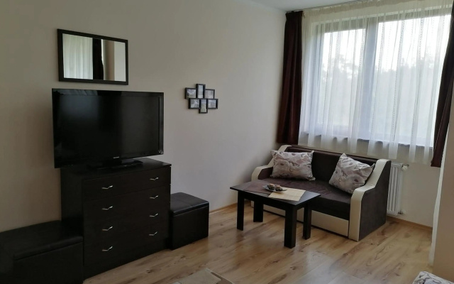 Borovets Gardens Studio D36
