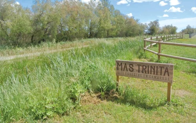 Mas Trinita Gîte équestre en Camargue