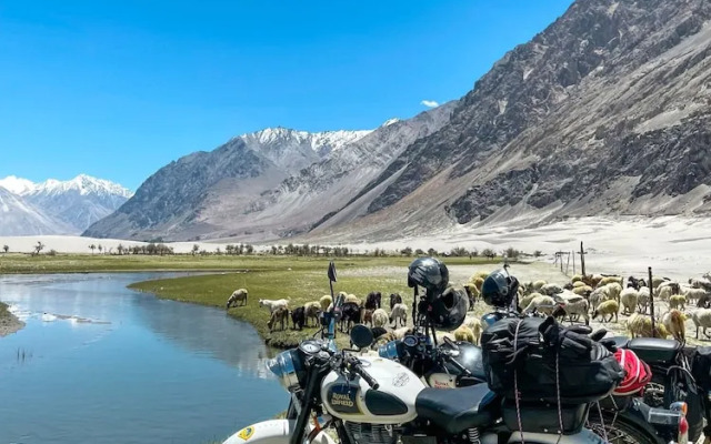 The Grand Ghazi Clover Camp