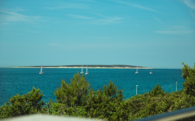 Apartment UGA - perfect location: A2 - Vito  Mandre, Island Pag