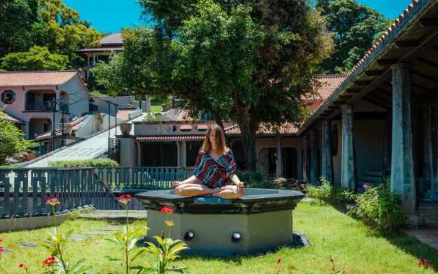 Chivitr Health and Rejuvenation