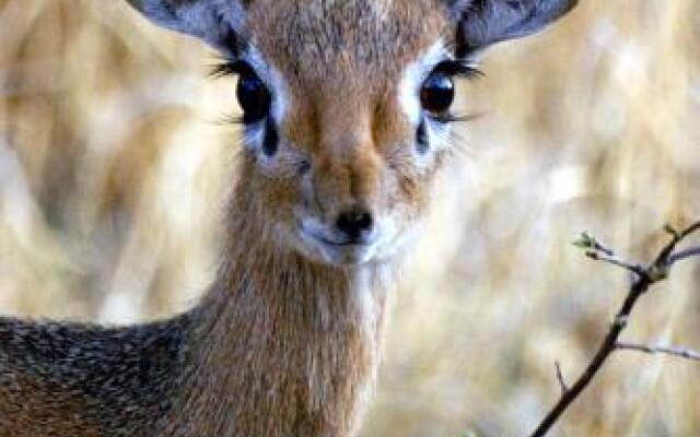 Waterberg Wilderness