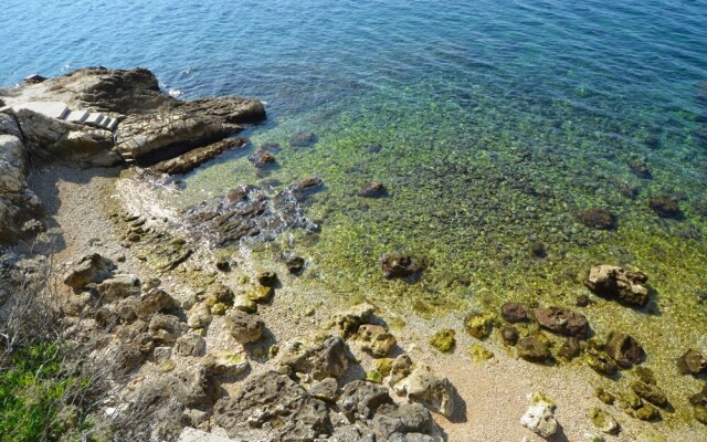 Grisia Attick in Rovinj