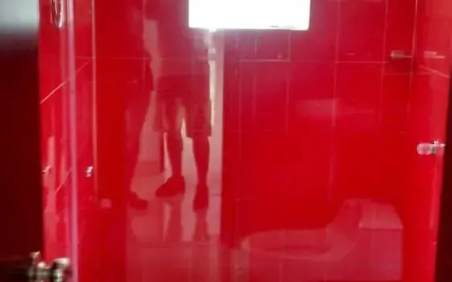 Casa Cristal Floresta