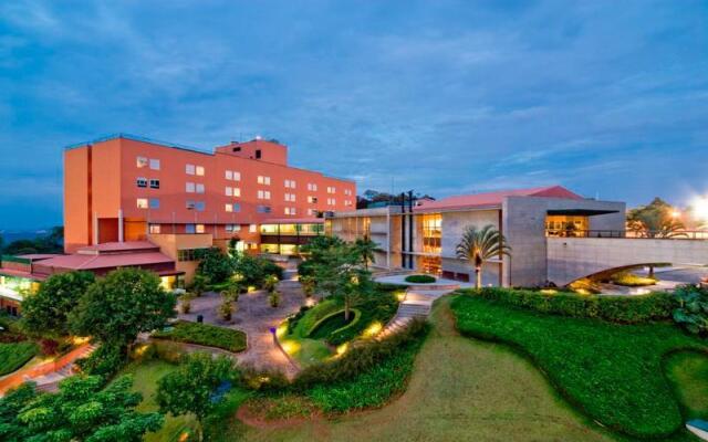 Hilton Almenat Embu das Artes Tapestry Collection