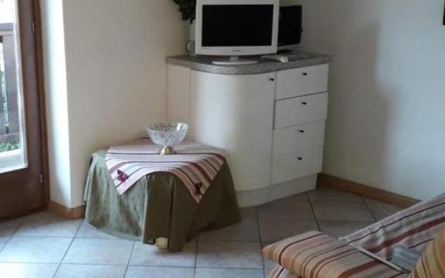 Le betulle - 022147-AT-050930