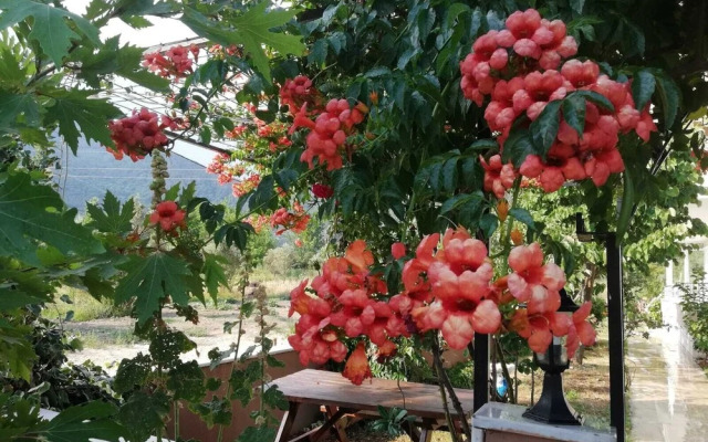 Annem Apart Pansiyon