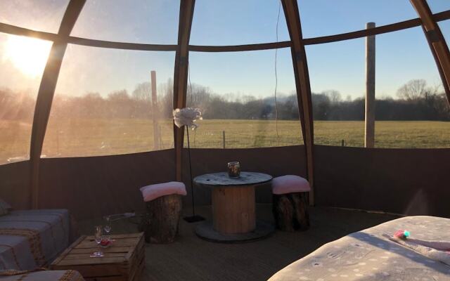 Les Nuits Insolites de Madine