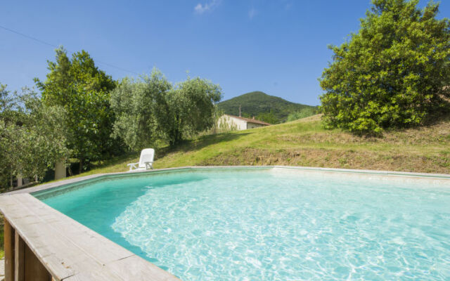 Locazione turistica Podere gli Olivi