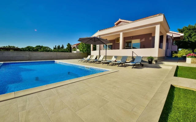 Ani Smil i in Smil i