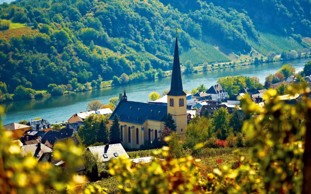 Ferienweingut Rainer Beitzel