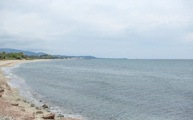 Résidence A NUCIOLA