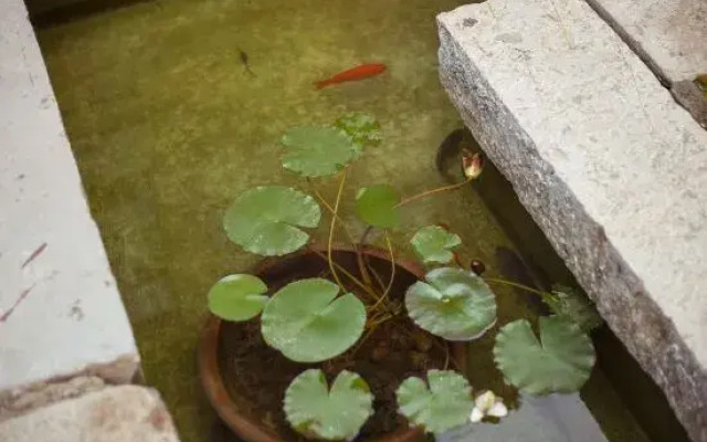 Xianting Inn