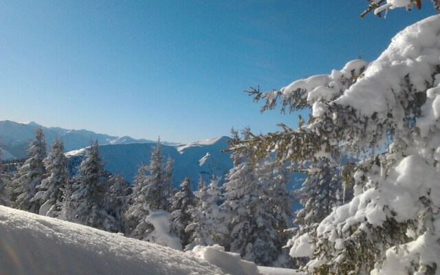 Wooden Chalet in Fusch an der Großglocknerstraße With Sauna